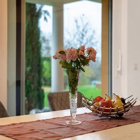 Appartement Plaetzchen Im Gruenen